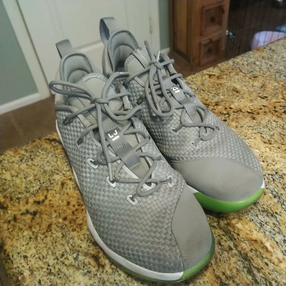 Nike Air Zoom Max LeBron James XIV 14 Low Dunkman Dust Reflect Silver 878636 005